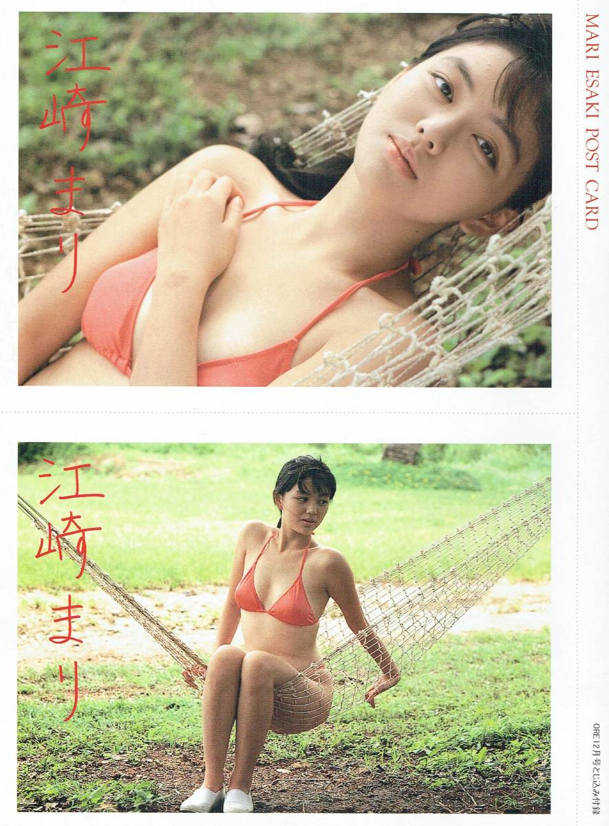 江崎まり 1989年〜1994年 大量 切り抜き ファイル 2冊 120P
