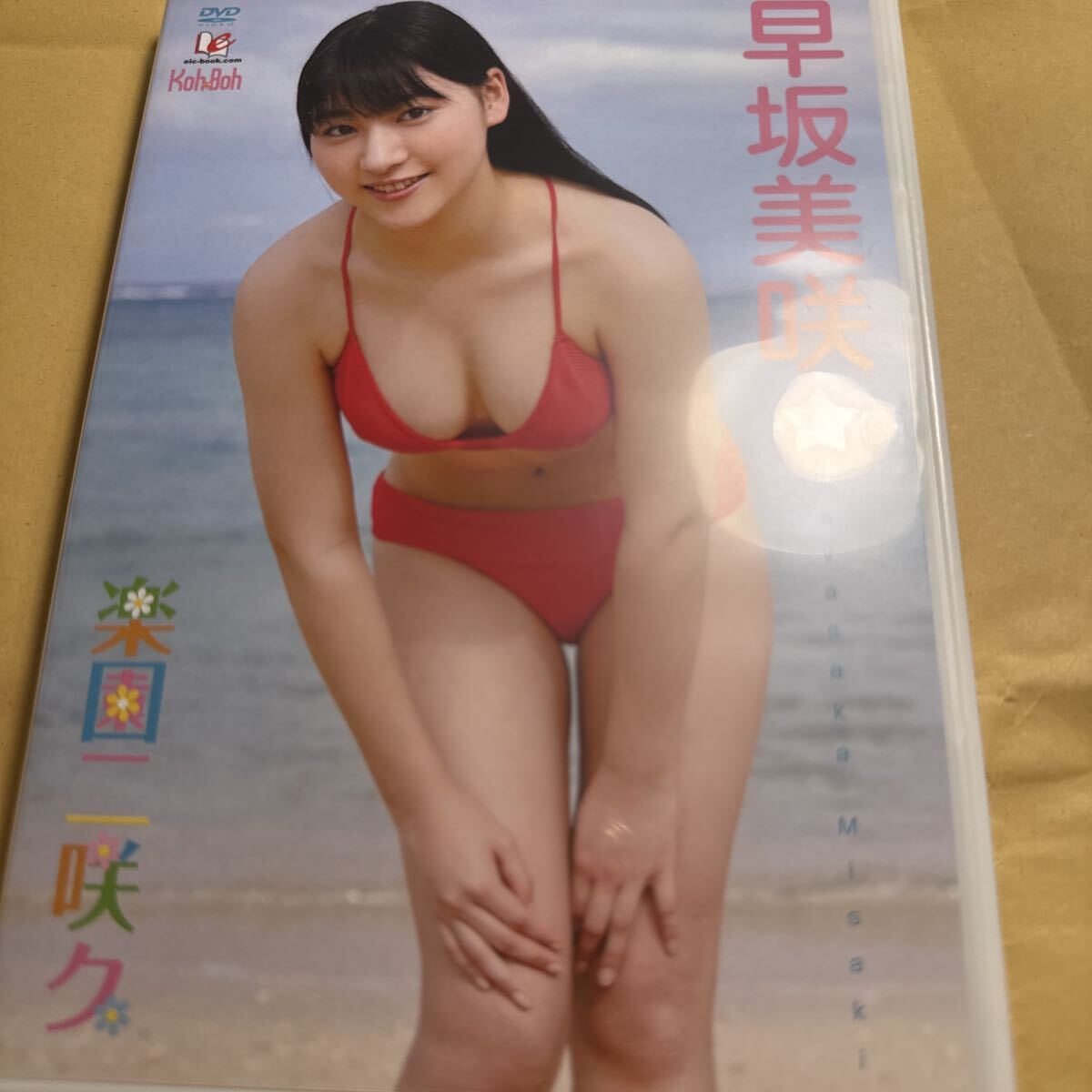 早坂 美咲 早坂 美咲