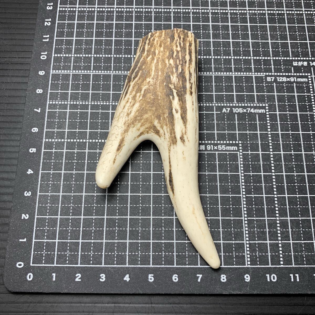 根付け 鹿角
