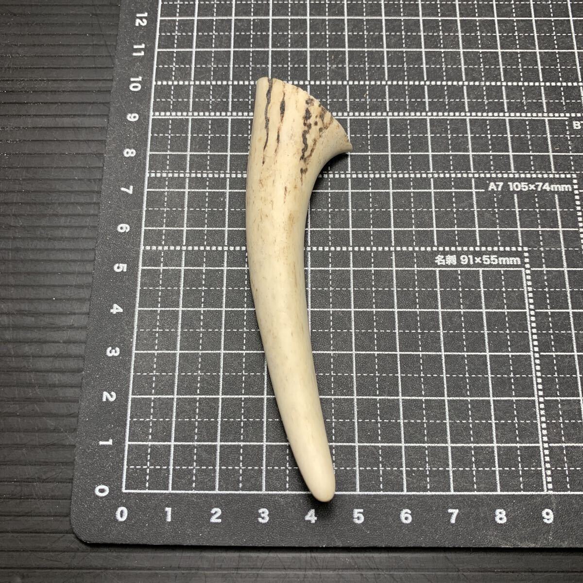 根付け 鹿角