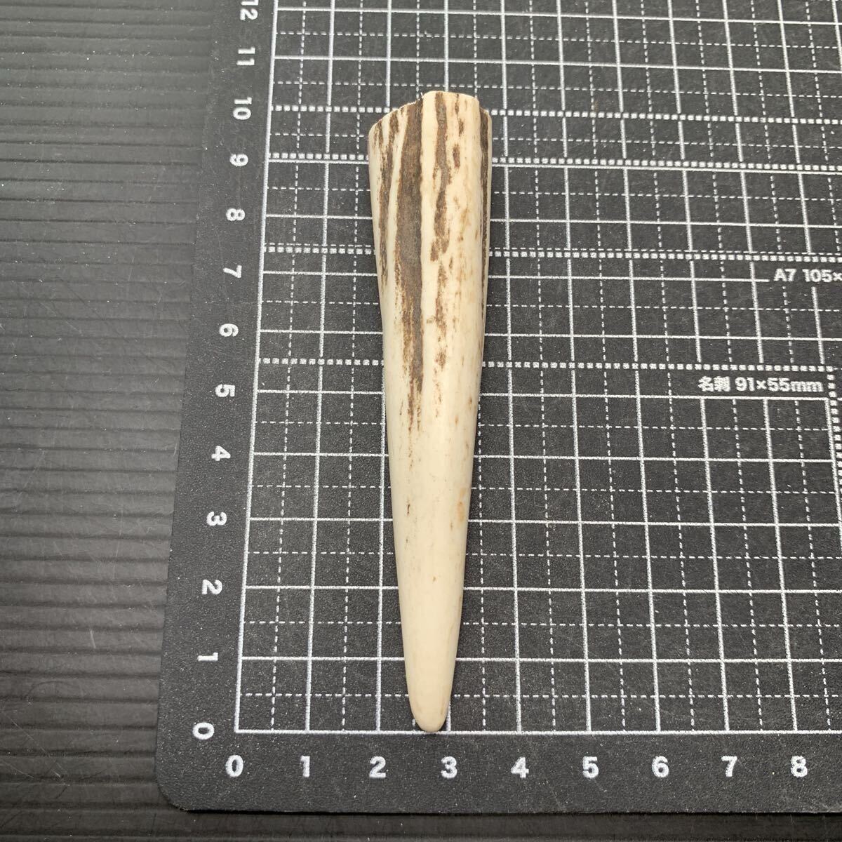 根付け 鹿角