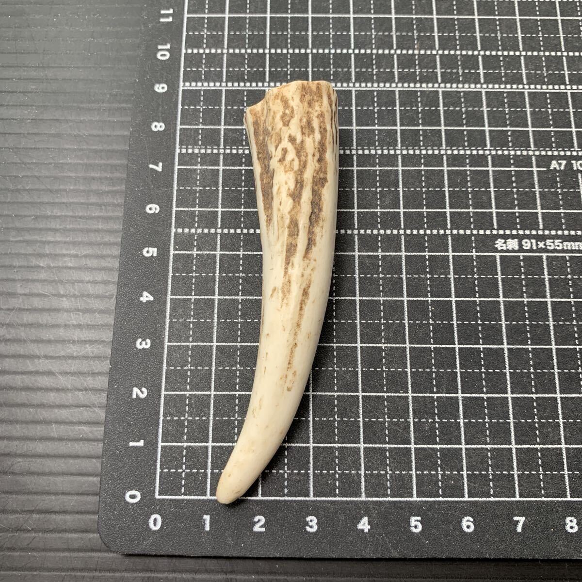 天然素材　鹿の角　珊瑚　根付　提げ物 ジビエクラフト】天然素材の手づくりキーホルダー 日本鹿の角