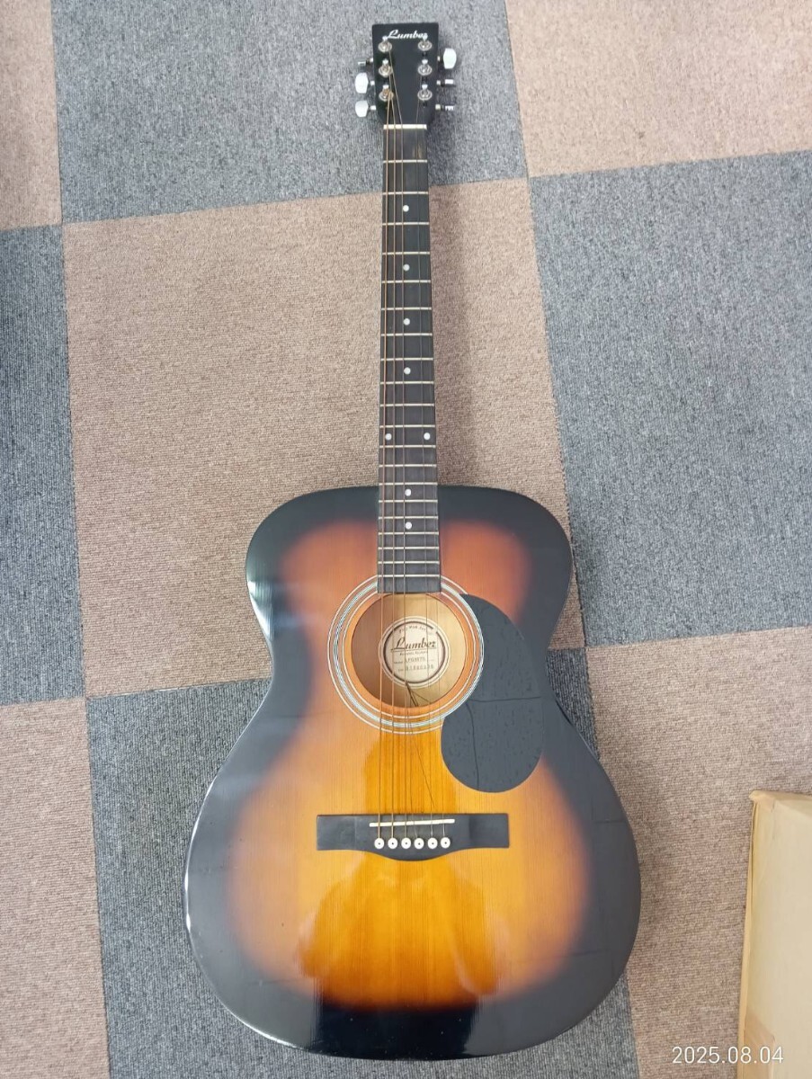 おまけ付き】Lumber L100MTS アコースティックギター ランバー