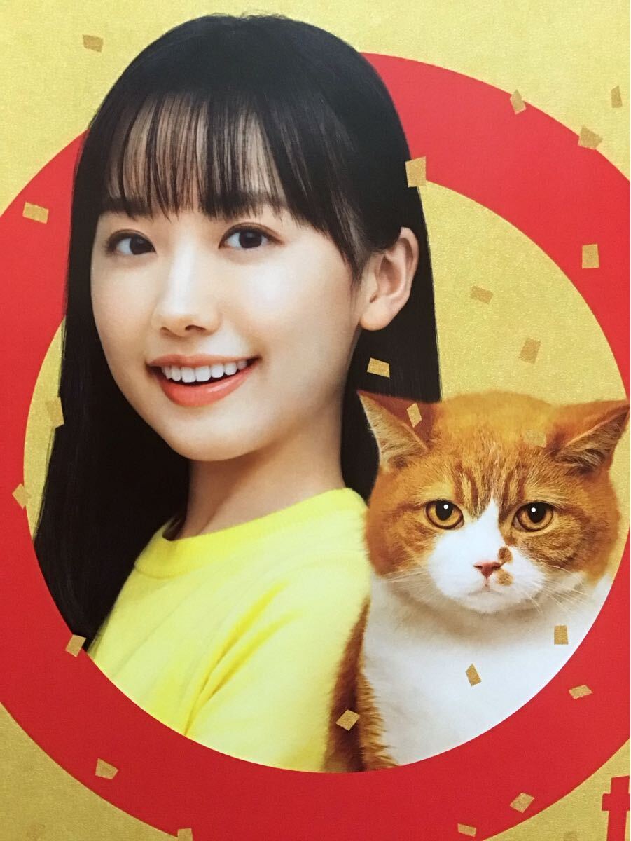 芦田愛菜