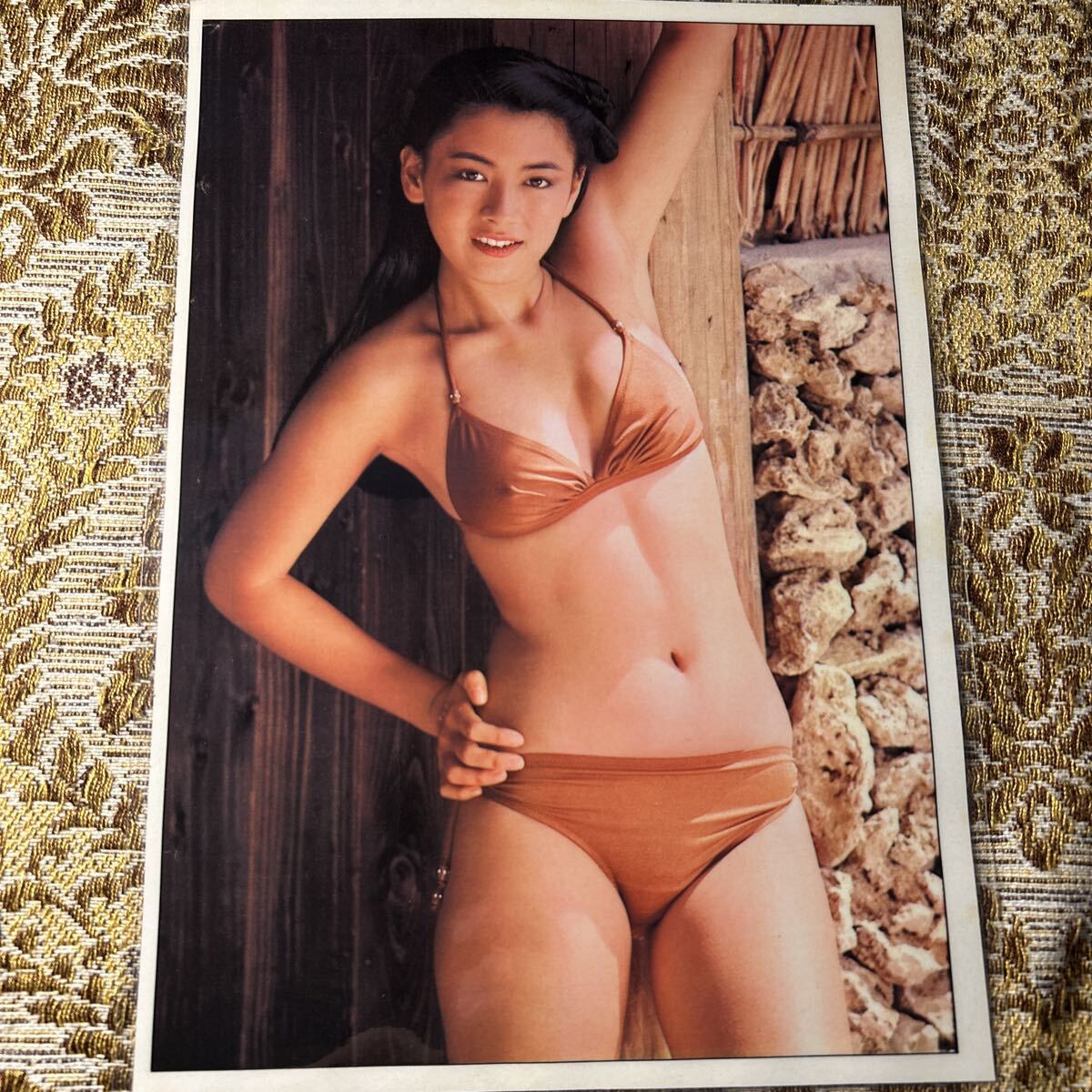 Resultados de búsqueda de 