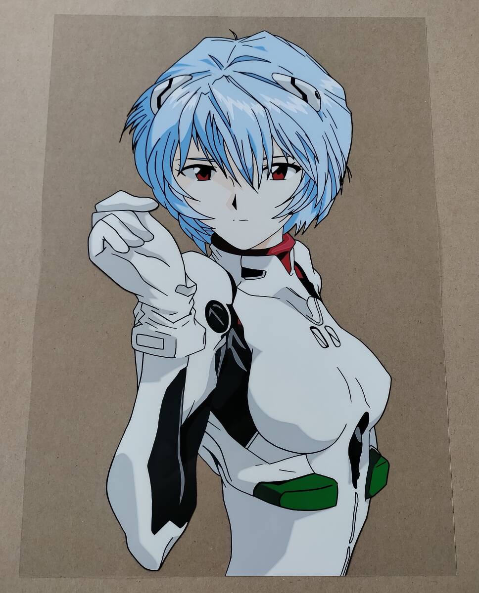 新世紀エヴァンゲリオン セル倶部 惣流・アスカ・ラングレー＆洞