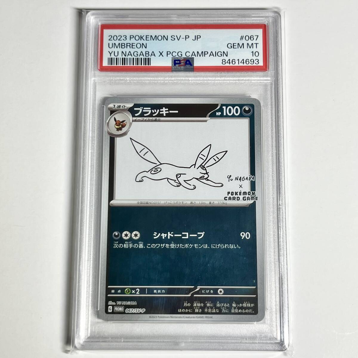 2000年 エコロジム PSA10 GEM MT10 世界に6枚 Pokemon Trading Cards: BGS/PSA/CSG GRADED Trading Cards | Buyee