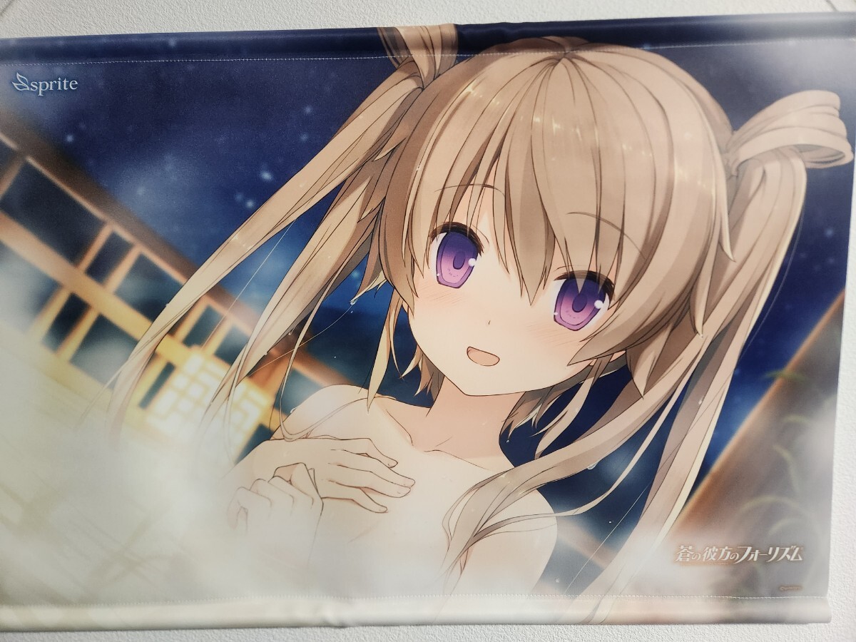 有坂真白