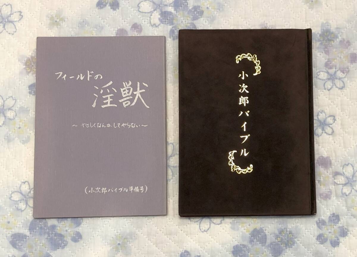 尾崎南
