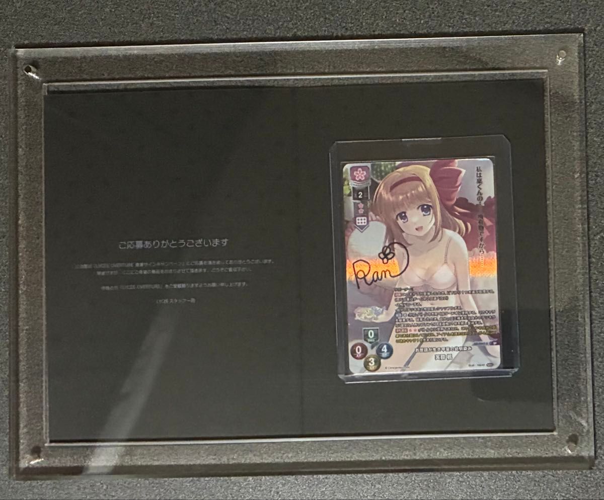 Umbreon VMAX SA HR 月亮伊布 VMAX 中国語版 | Shop at JDirectItems