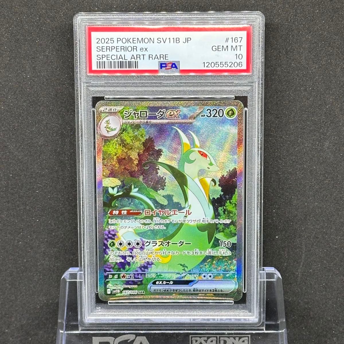 ポケモンカード ジャローダex SAR | Shop at JDirectItems Fleamarket