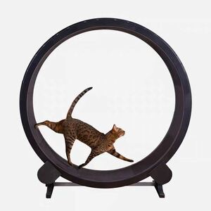 One Fast Cat ネコ ルームランナー 猫 キャットエクササイズ ホイール ブラック 猫ちゃん専用 ランニングマシン Cat Exercise Wheel 正規品