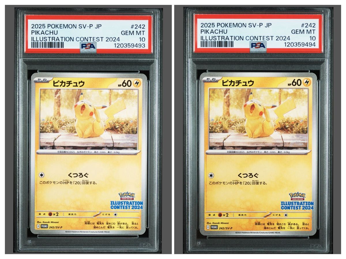 ポケモンカード ピカチュウ プロモ 242/SV-P ILLUSTRATION CONTEST