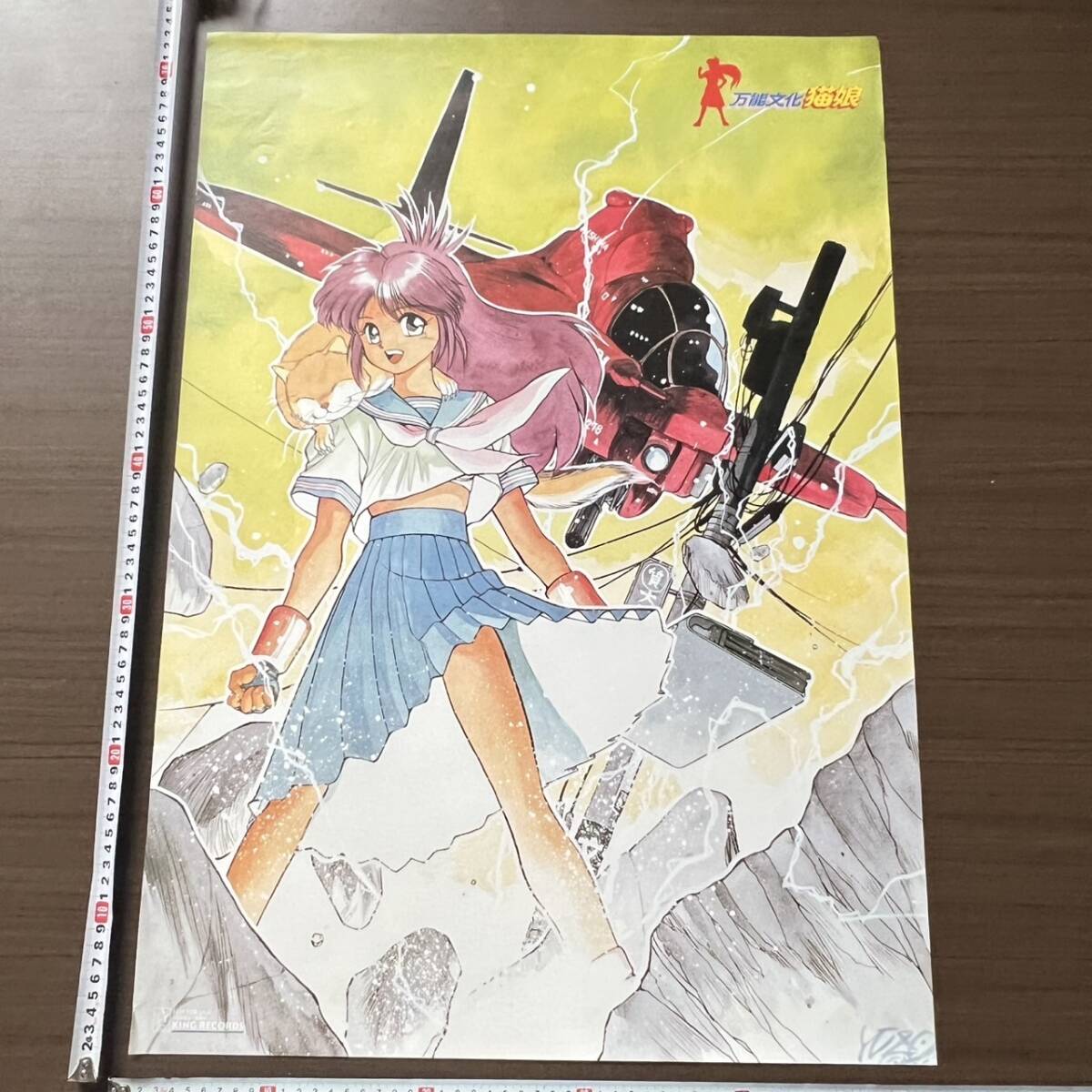 万能文化猫娘