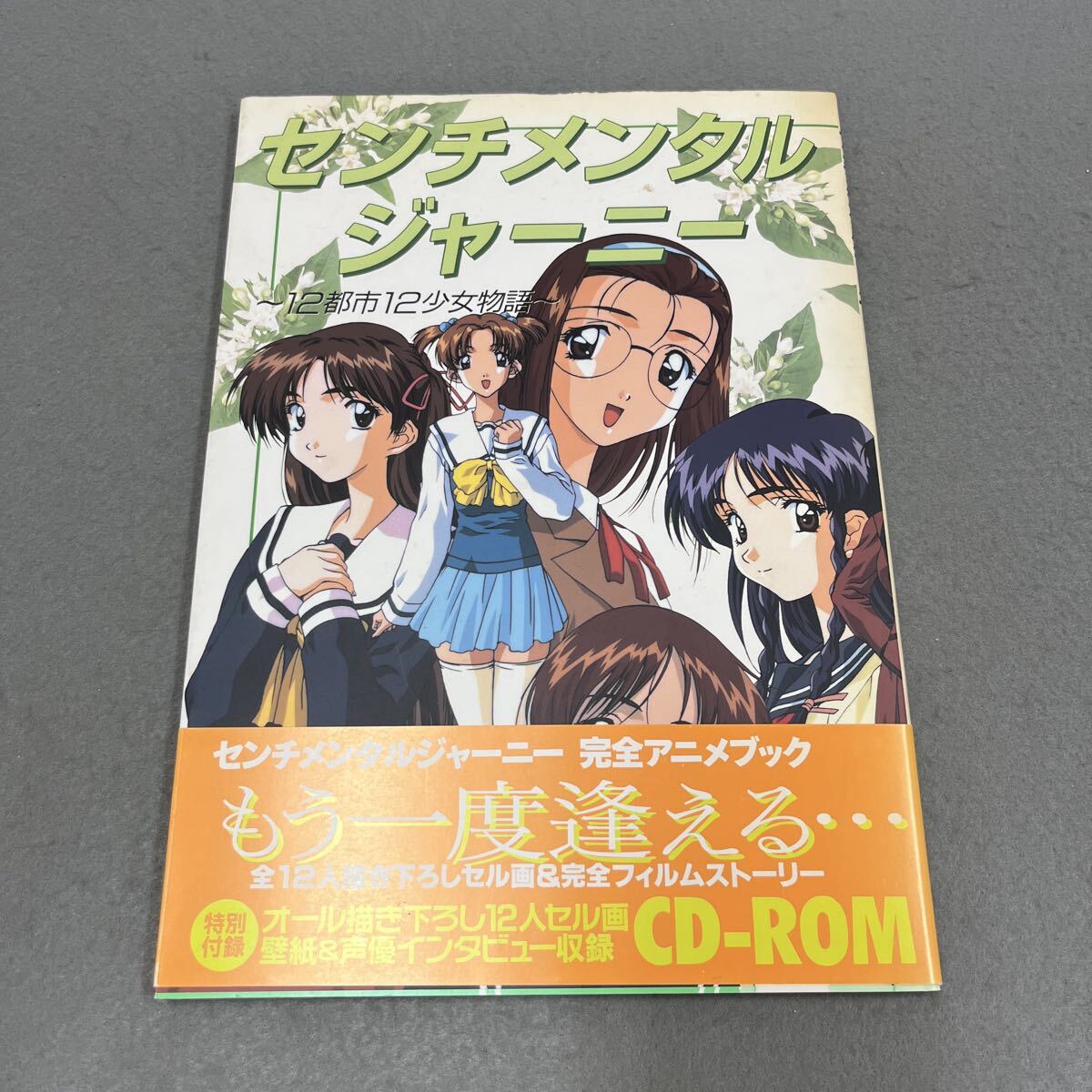 センチメンタルジャーニー)