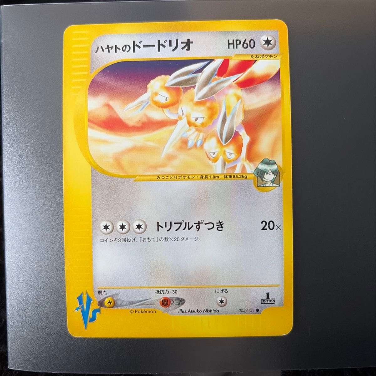 ハヤトのエアームド VS ポケモンカードe | Shop at JDirectItems