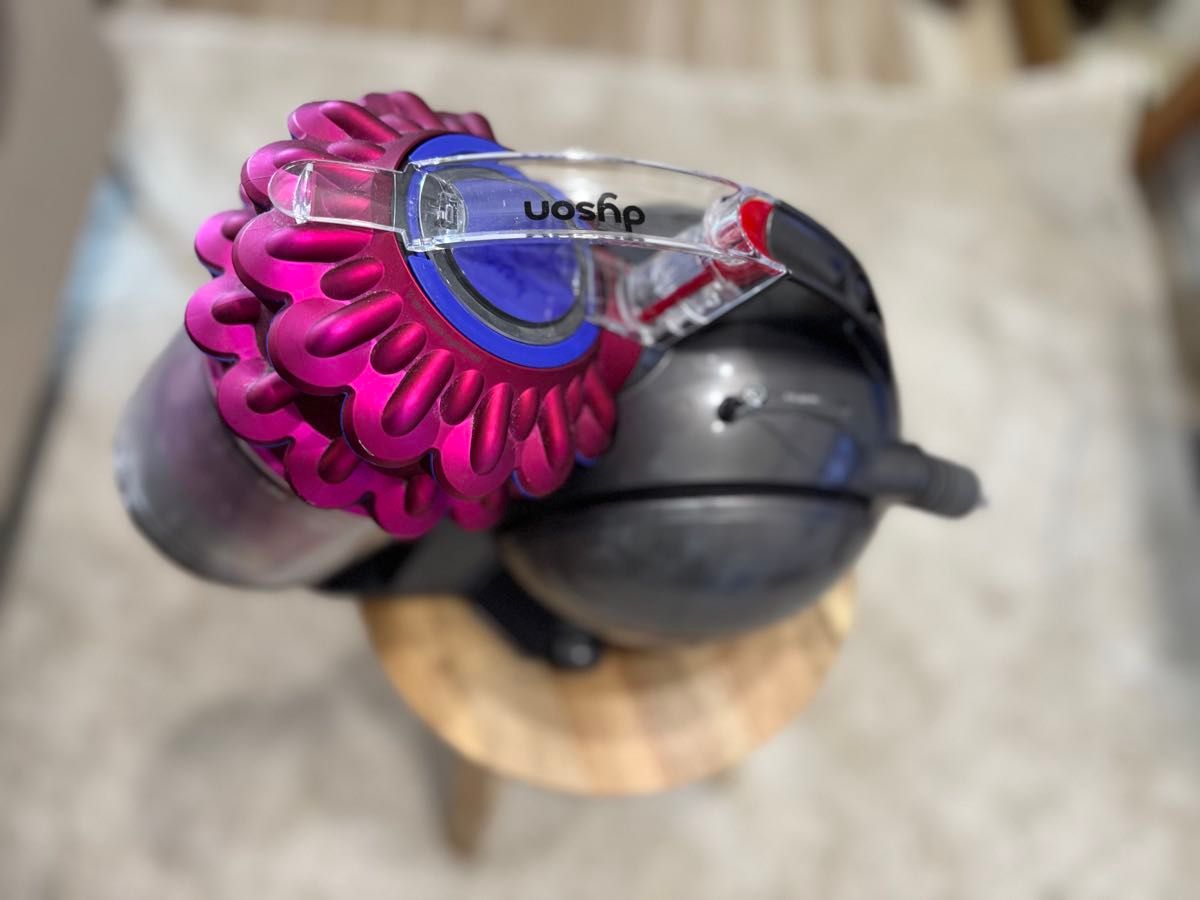 ダイソン dyson DC36 キャニスター掃除機 分解洗浄品 | Shop at