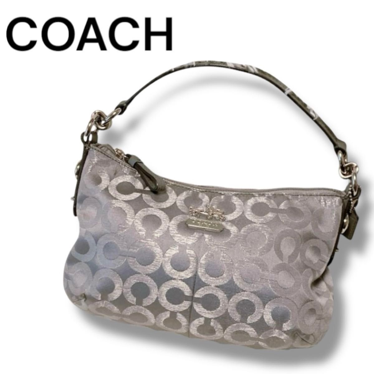 極美品 COACHコーチ アクセサリーポーチ ワンショルダーバッグ