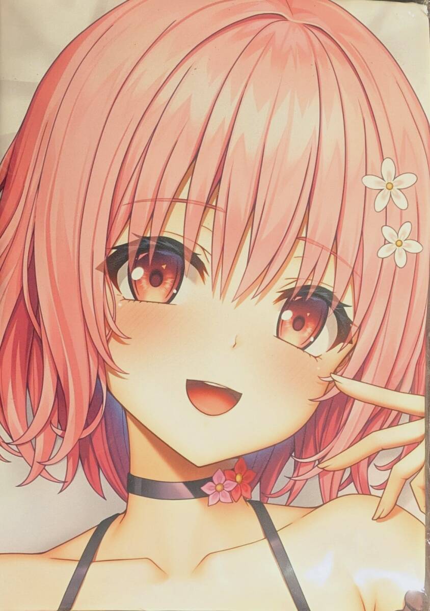 MだSたろう イリヤ クロエ B2タペストリー Yo女の森 俺の嫁 Fate FGO 