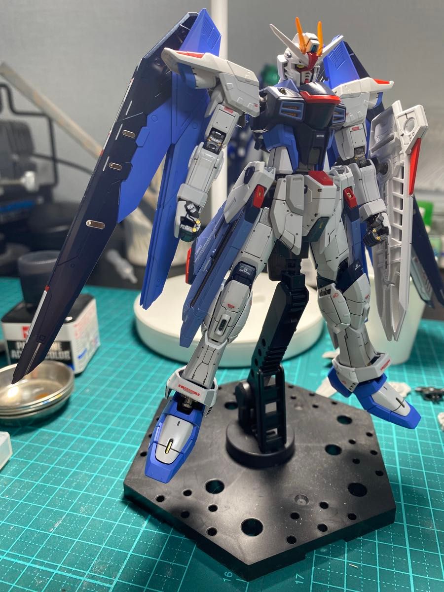 ガンプラ MG フリーダムガンダム Ver.2.0 プロヴィデンスガンダム 機動 ガンプラ MG フリーダムガンダム Ver.2.0 プロヴィデンスガンダム 機動