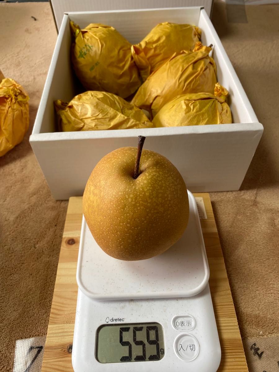 13玉〜14玉サイズ南水梨約10kg訳ありご家庭用☆送料込☆秋田県産