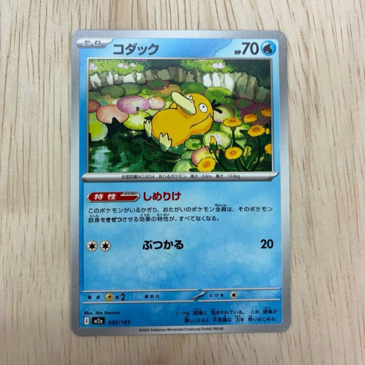 ポケモンカード VS シジマのニョロボン HP70 たねポケモン | Shop at