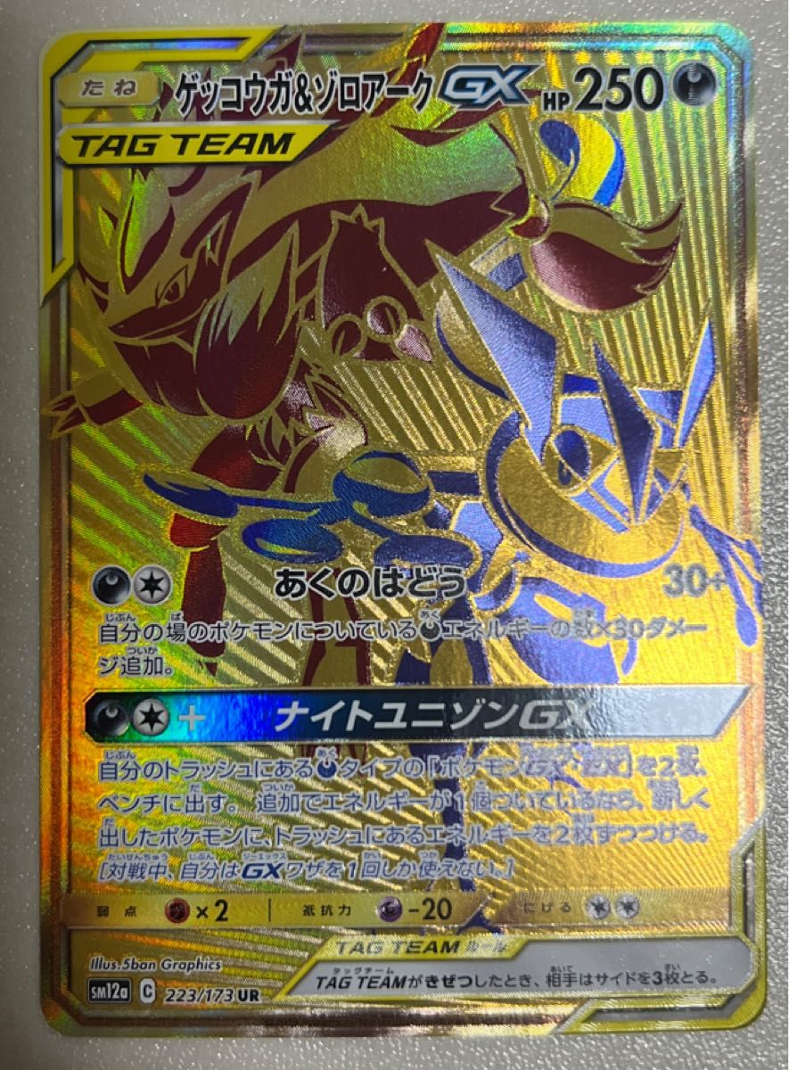 ガブリアス&ギラティナGX UR タッグオールスターズ 225/173