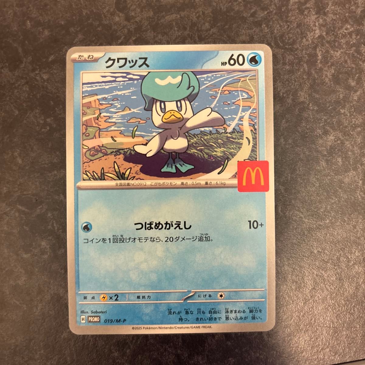 送料無料 ポケモンカード クワッス (019/M−P) プロモカード ハッピー