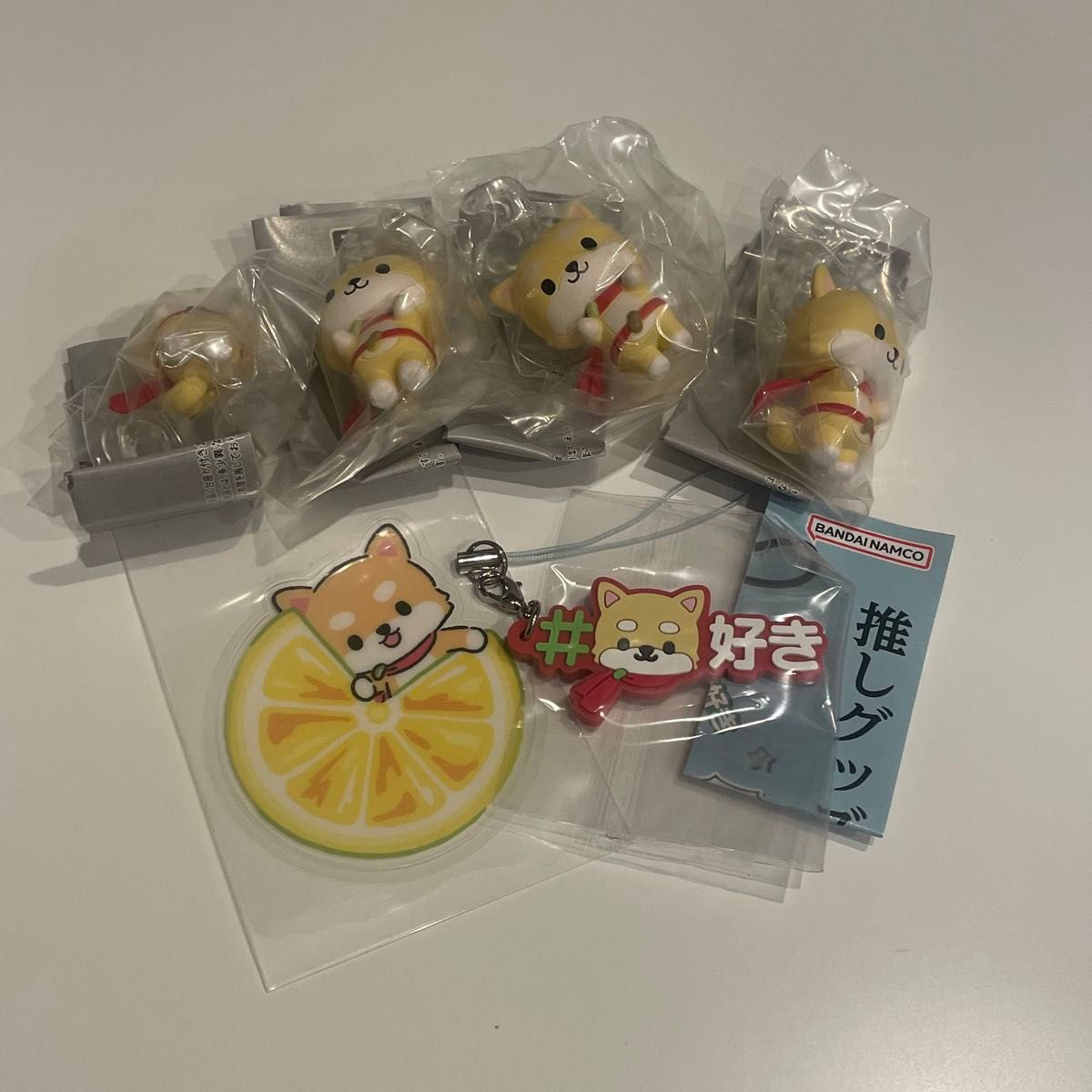 JOCHUM まめちぃ ラバーバンド JO1 EIEN ガチャ カプセルトイ | Shop