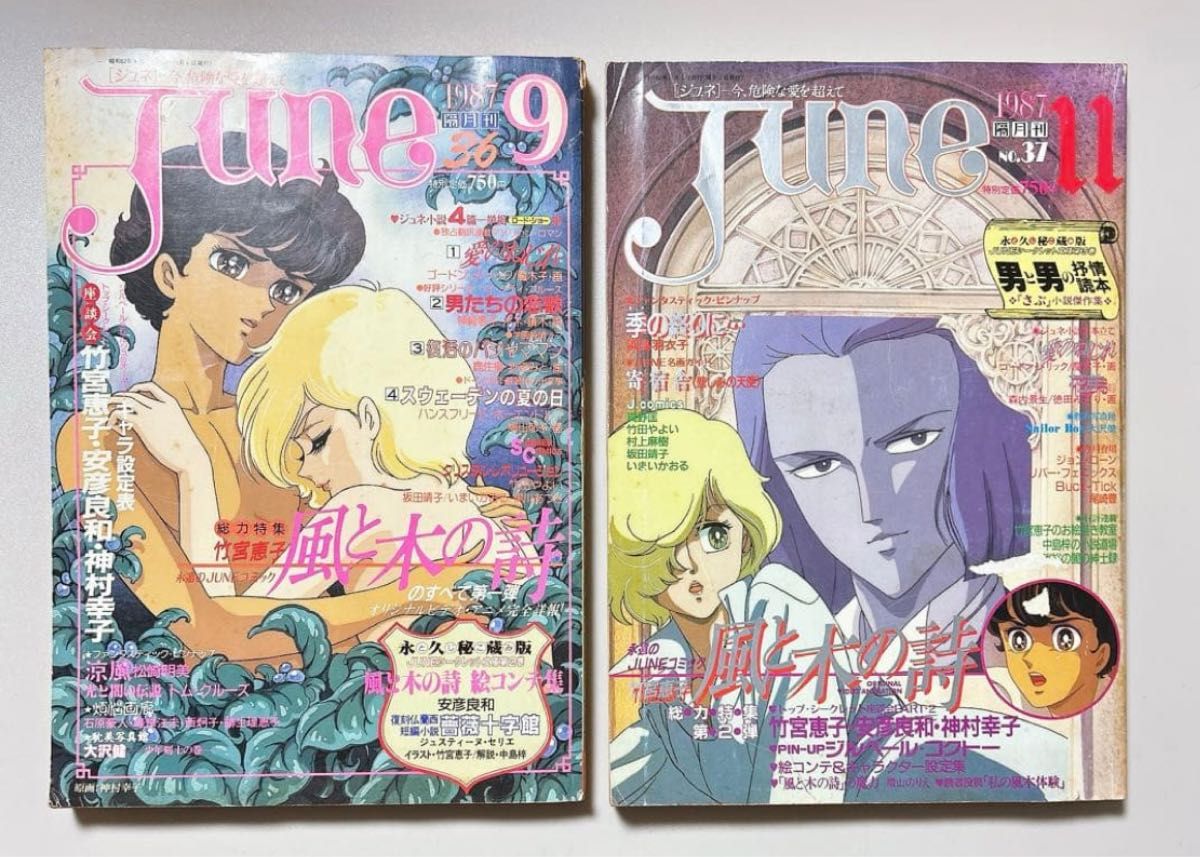 雑誌 小説JUNE 1985～1989年9冊セット