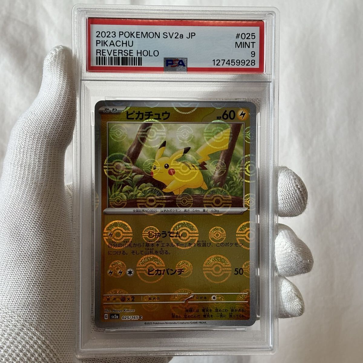 Pokemon Trading Cards: BGS/PSA/CSG GRADED Trading Cards | Buyee
