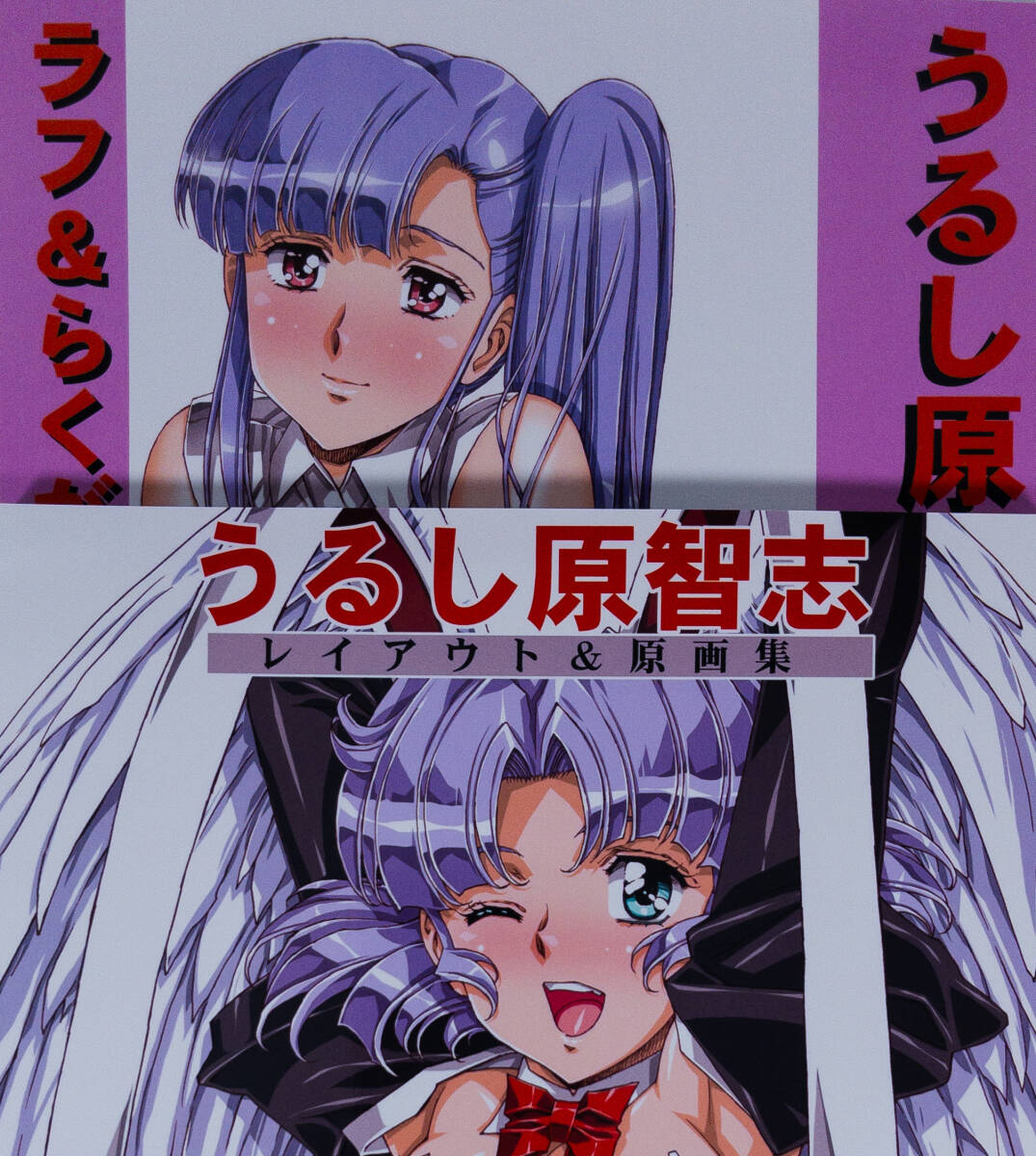 C107 Confeito 新刊 ANIMIX UP 2025 長澤礼子 岩澤亨 【公式通販】