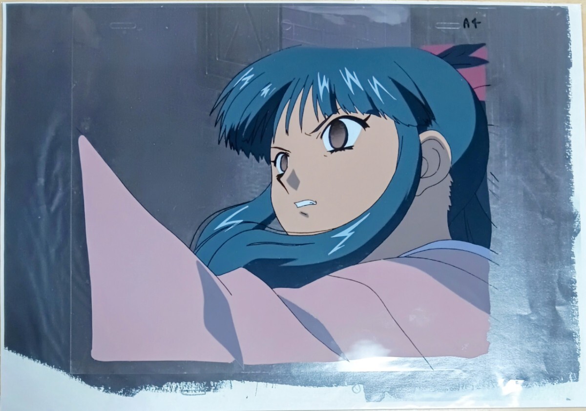 Search Results for 