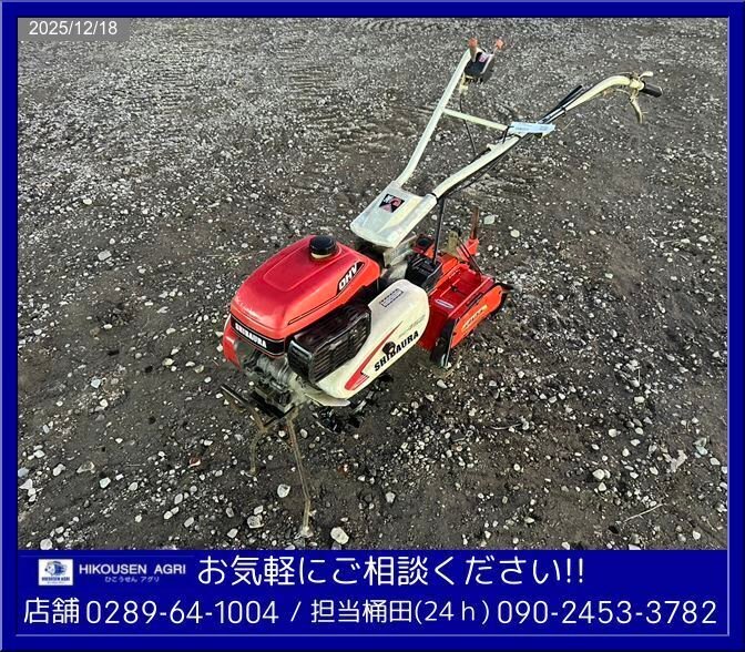 シバウラモノ楽