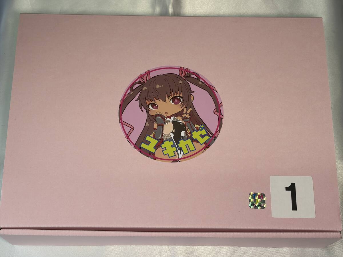 食い込み水着 大人ゆきかぜ 対魔忍ユキカゼ 対魔忍RPGX 対魔忍アサギ 