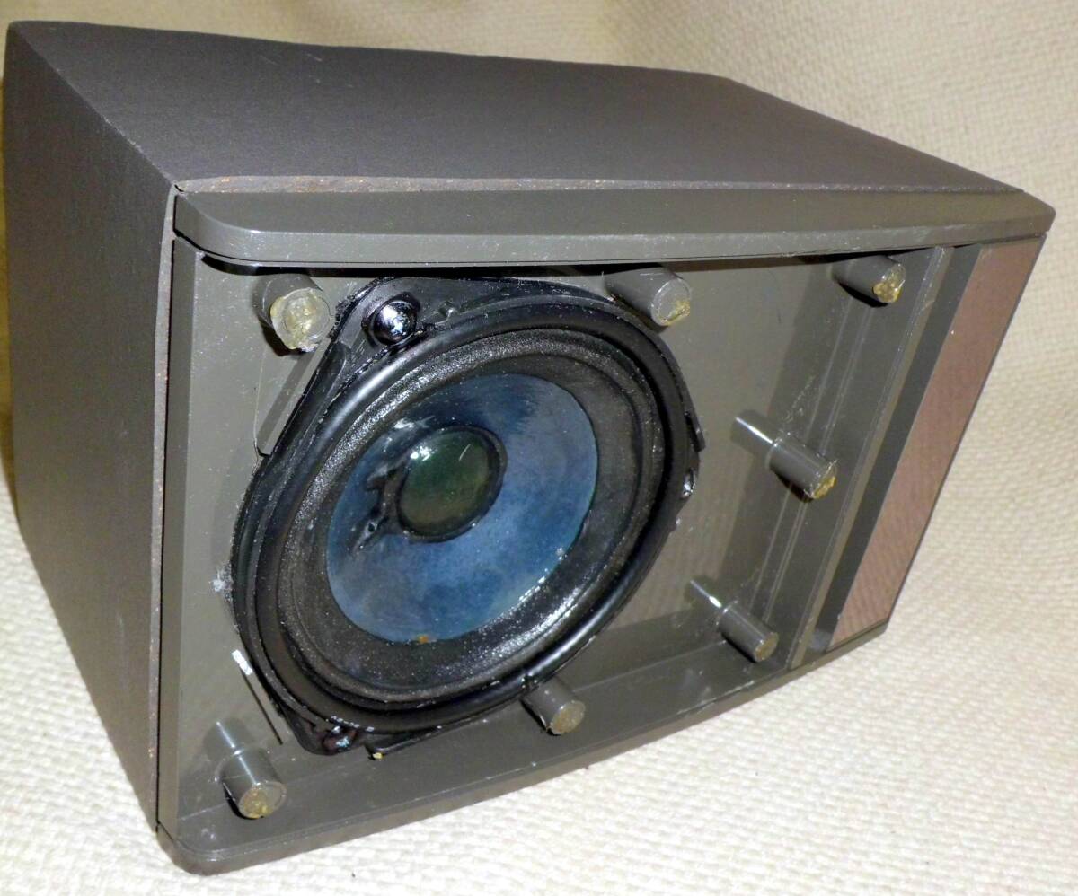 BOSE100j