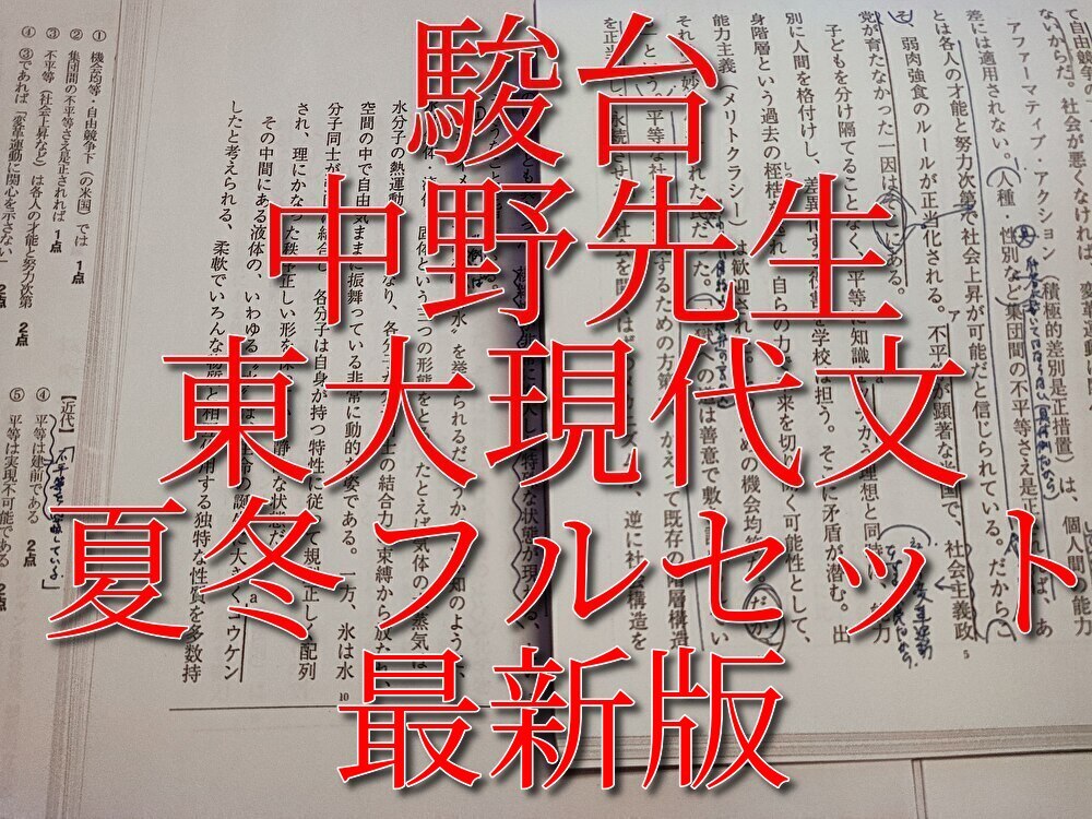 駿台 物理 高井隼人プリント 駿台 高井隼人先生 締切講座 冬期 電磁気特講 板書・プリントフル