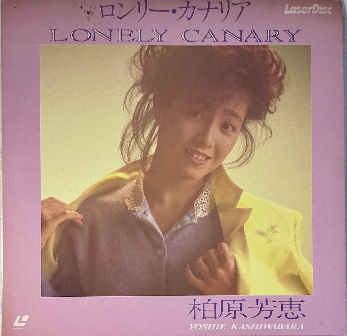 VHD 柏原芳恵 ドリームコンサート ◇ビデオディスク◇ 未開封品 【公式