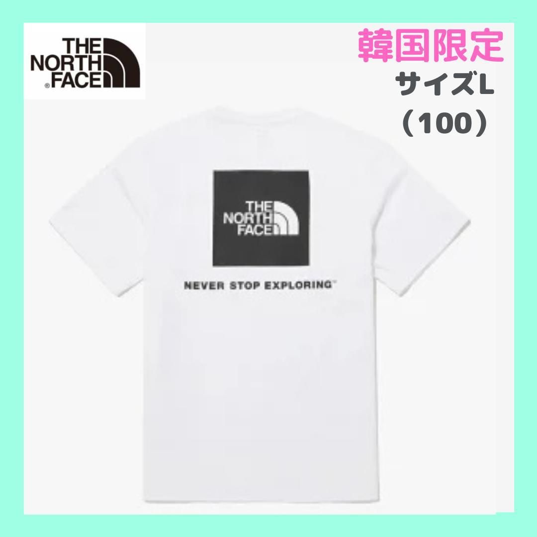 韓国限定 THE NORTH FACE ロゴ ステッチ Tシャツ ブラウン XL | Shop