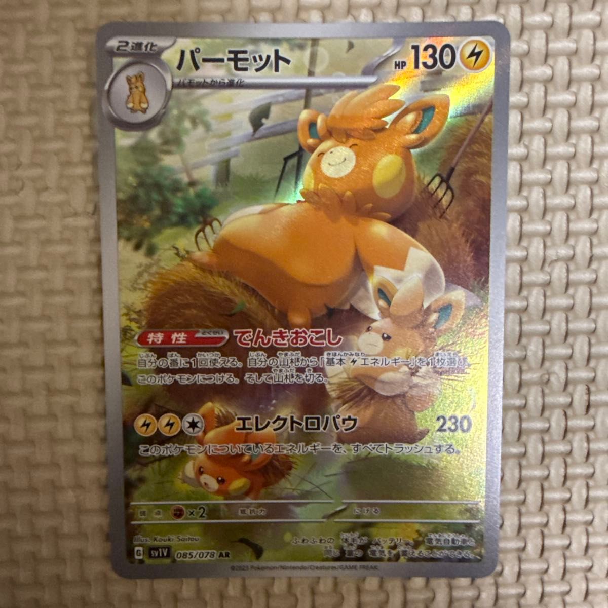パーモットAR&ポケカまとめ売り | Shop at JDirectItems Fleamarket