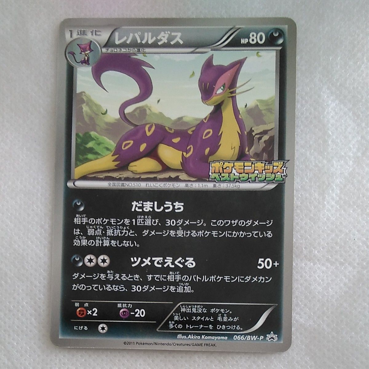 ポケモンカード ヒトカゲ LV.9 HP50 DPプロモ 124/DP-P | Shop at