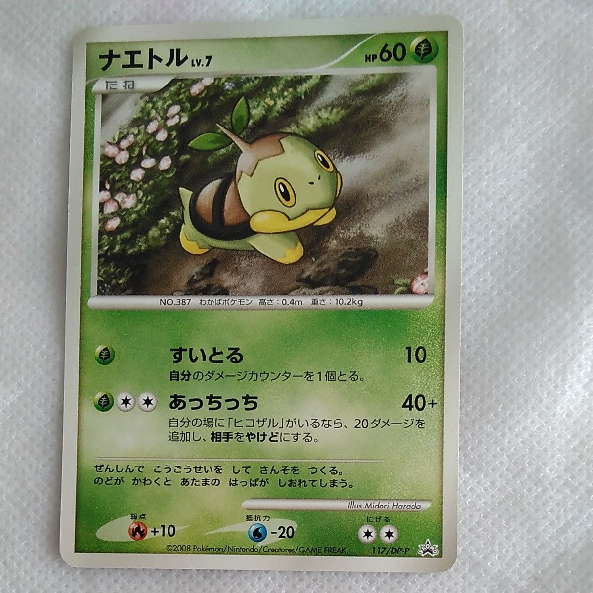 ポケモンカード ナエトル LV.7 プロモ 117/DP-P コレクション