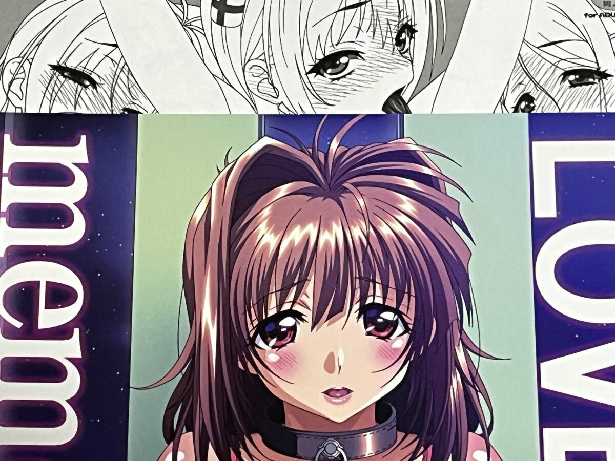 C107 コミケ107 けんけん 直筆サイン付 チェキH コスプレROM 写真集