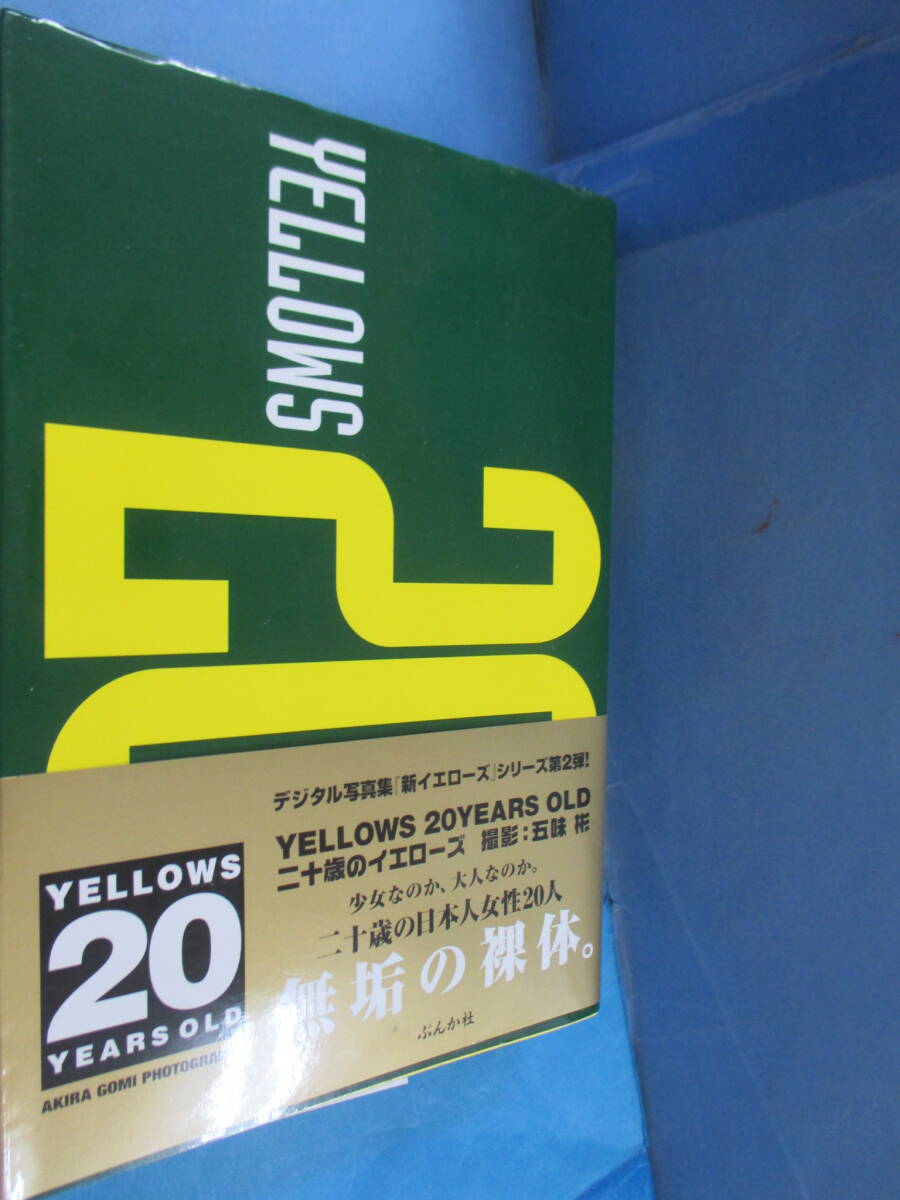 五味彬 yellows