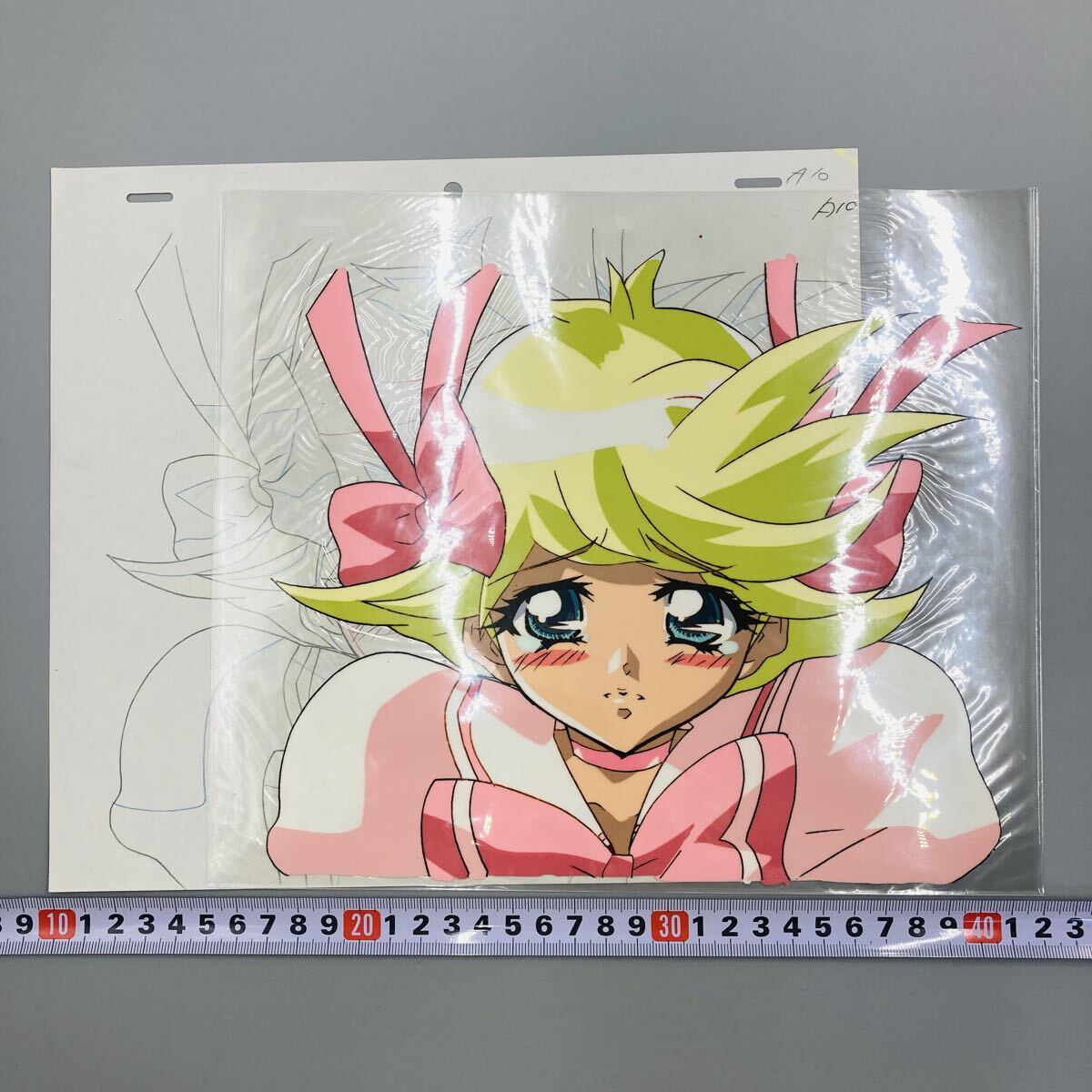 しましまとらのしまじろう Shima Shima Tora no Shimajirou セル セル 
