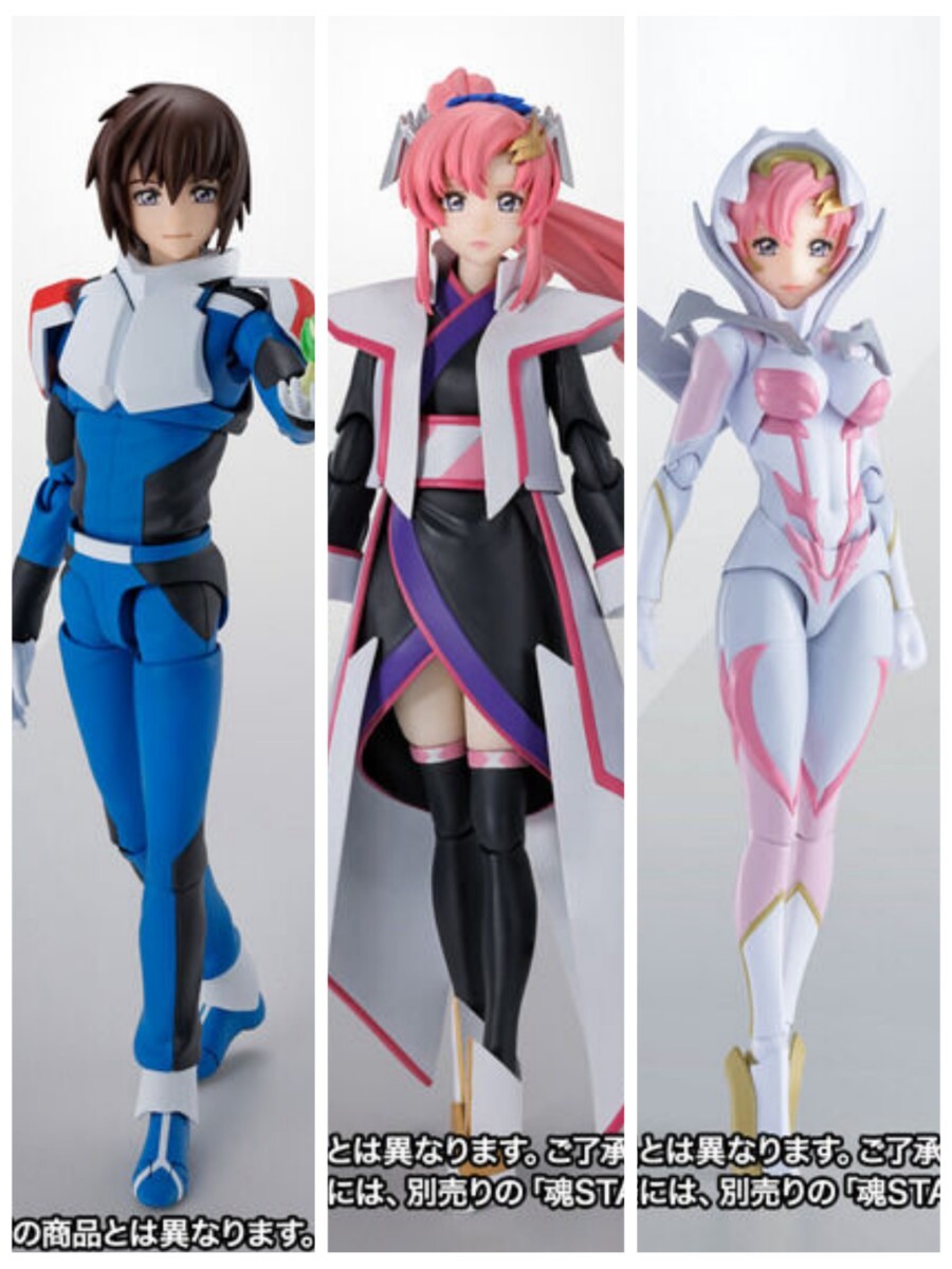 キャラホビ 1/6 ラクス・クライン ドレス ガレージキット ガレキ