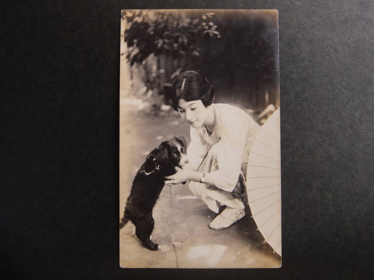 Resultados de pesquisa para 