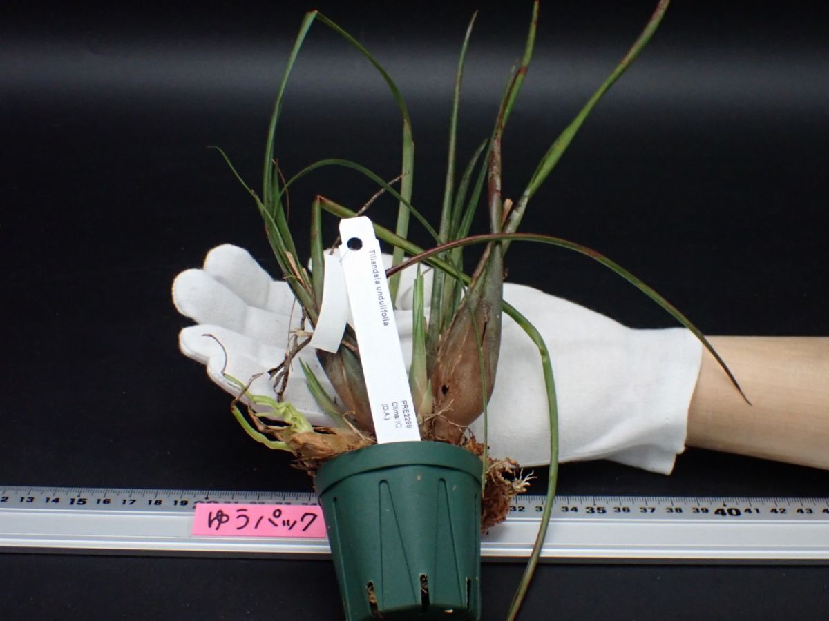 Resultados de búsqueda de 