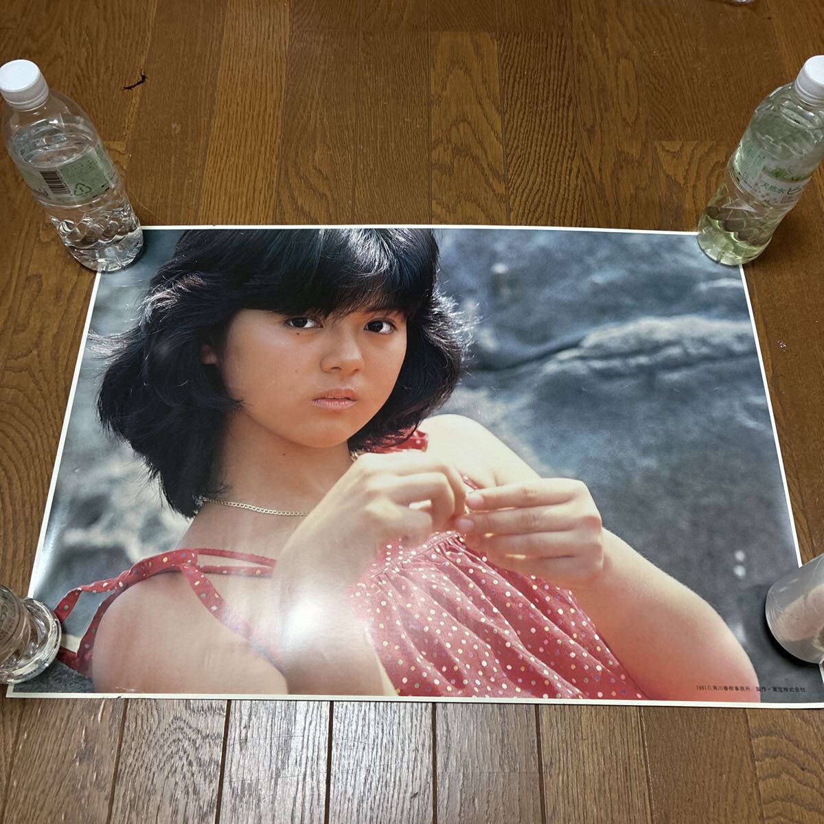 薬師丸のり子 1981.11.21 薬師丸ひろ子 | アイドル・ポップ・データベース