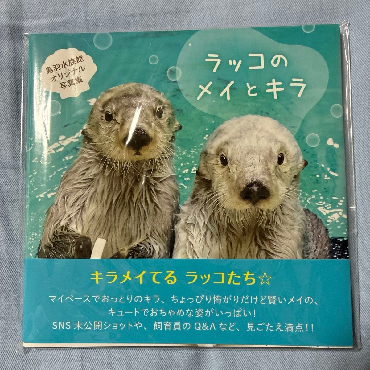 鳥羽水族館 コレクションカード vol.2 レア ロイズ メイ ラッコ | Shop